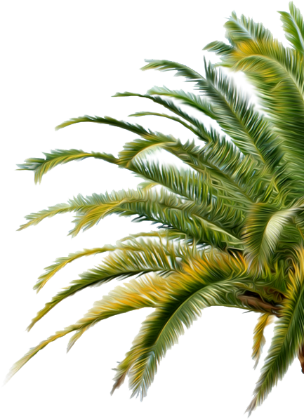 palmtree4